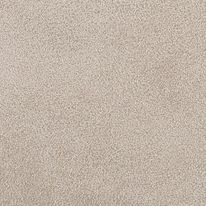 Solid light gray color swatch