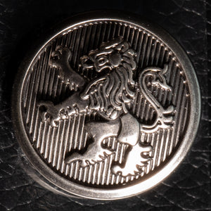 Metallic emblem with a lion design on a textured black surface