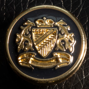 Gold emblem with a shield and lions on a black background
